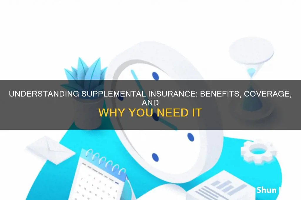 what is a supplemental insurance
