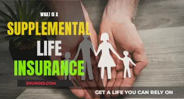 Supplemental Life Insurance: Enhancing Your Coverage and Peace of Mind