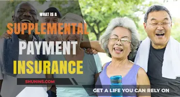 Supplemental Payment Insurance: What You Need to Know