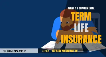 Supplemental Term Life Insurance: Extra Coverage, Extra Benefits