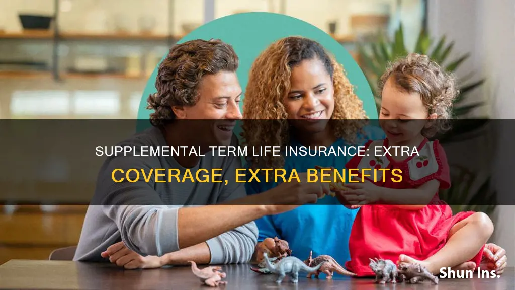 what is a supplemental term life insurance