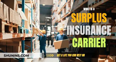 Surplus Insurance Carrier: What's the Deal?