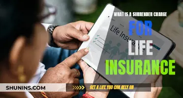 Understanding Life Insurance: Surrender Charges Explained