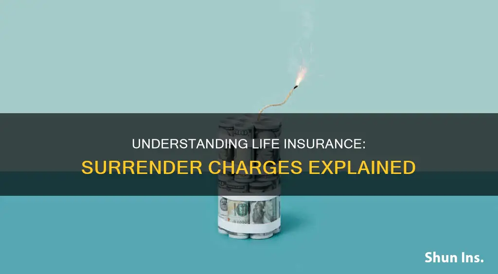 what is a surrender charge for life insurance