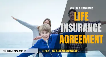 Understanding Temporary Life Insurance Agreements: Are They Worthwhile?