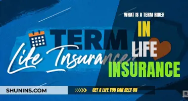 Term Rider: Life Insurance's Add-on Explained