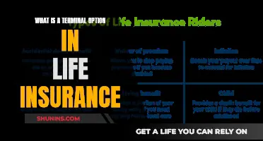 Understanding Terminal Illness Option in Life Insurance