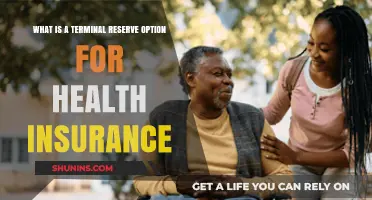 Understanding Terminal Reserve Options in Health Insurance Policies