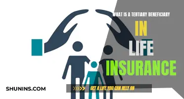 Understanding Tertiary Beneficiaries in Life Insurance Policies