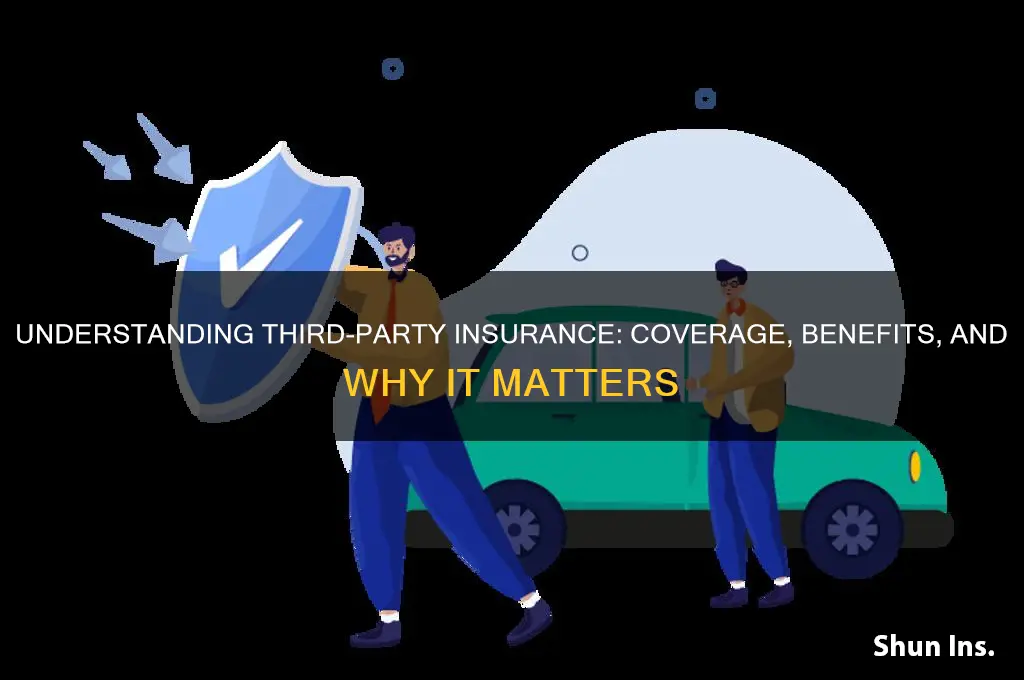 what is a third party insurance