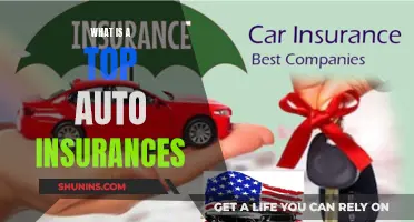 Best Auto Insurance Options: Top Policies for Your Car