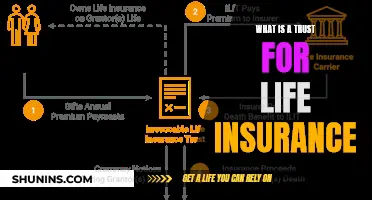 Trusts for Life Insurance: What You Need to Know