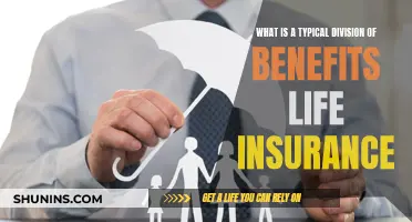 Understanding Life Insurance: Typical Division of Benefits