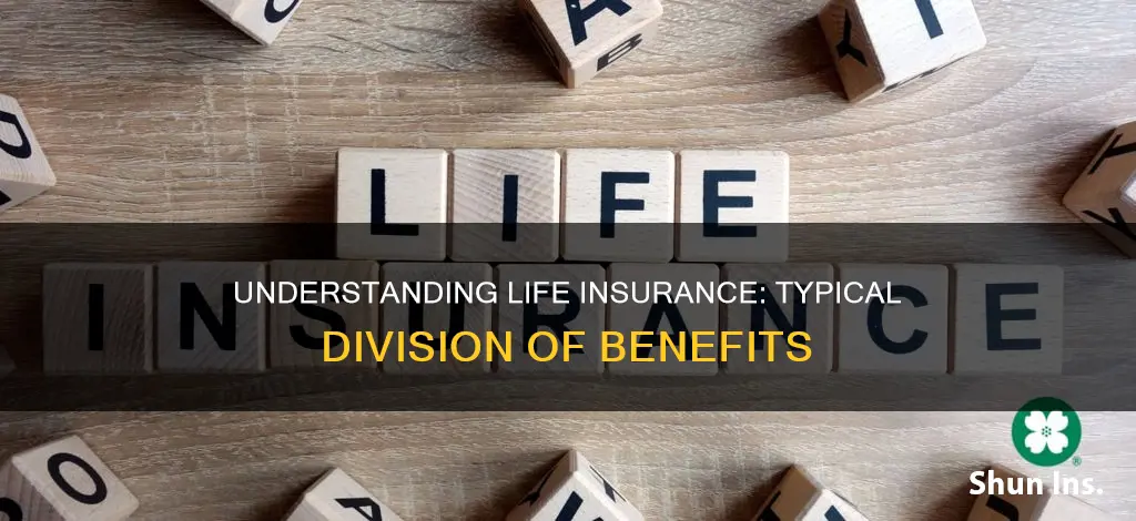 what is a typical division of benefits life insurance