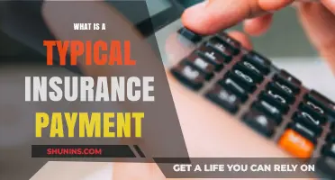 Understanding Insurance Payments: Average Costs Explained