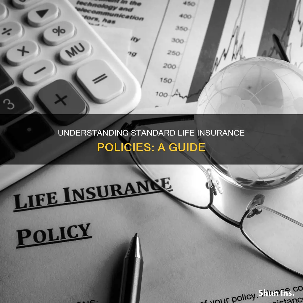 what is a typical life insurance policu