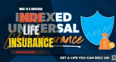 Universal Index Life Insurance: What You Need to Know