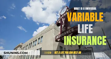 Universal Variable Life Insurance: What You Need to Know