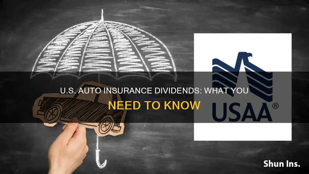 what is a usaa auto insurance dividend