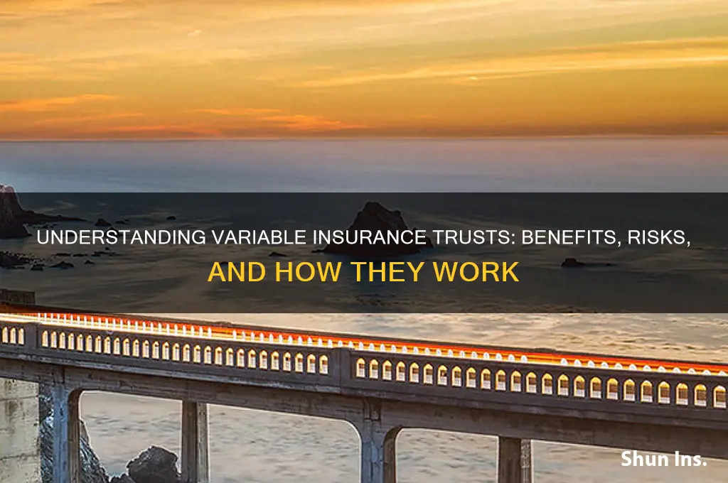 what is a variable insurance trust
