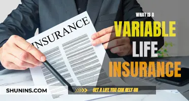 Variable Life Insurance: Understanding the Policy Flexibility