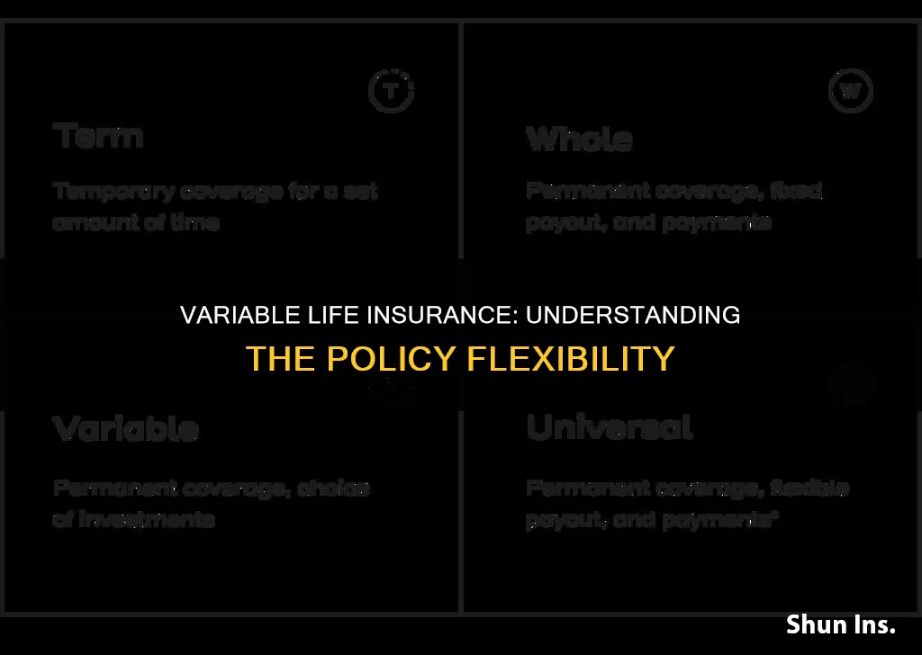 what is a variable life insurance