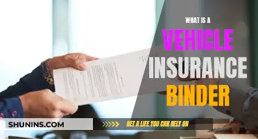 Vehicle Insurance Binder: What's the Deal?