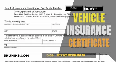 Vehicle Insurance Certificate: What You Need to Know