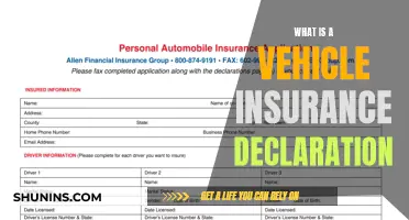 Vehicle Insurance Declaration: What's Covered?