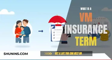 Unveiling the VM Insurance Term: Understanding Virtual Management Coverage