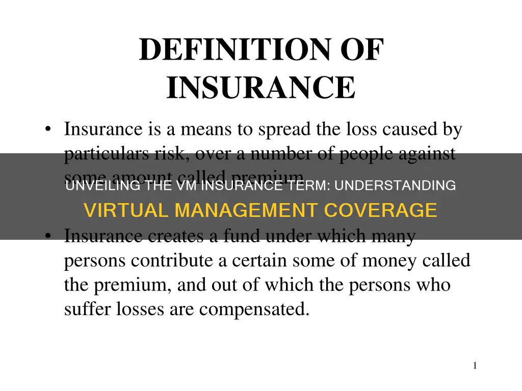 what is a vm insurance term