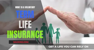 Voluntary Term Life Insurance: What You Need to Know