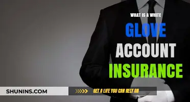White Glove Insurance: Premium Protection for Your Accounts