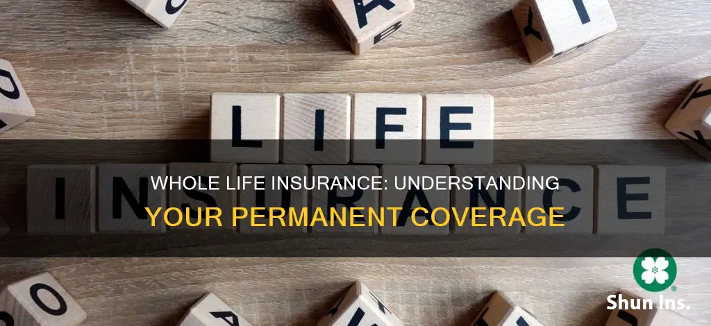 what is a whole life insurance account