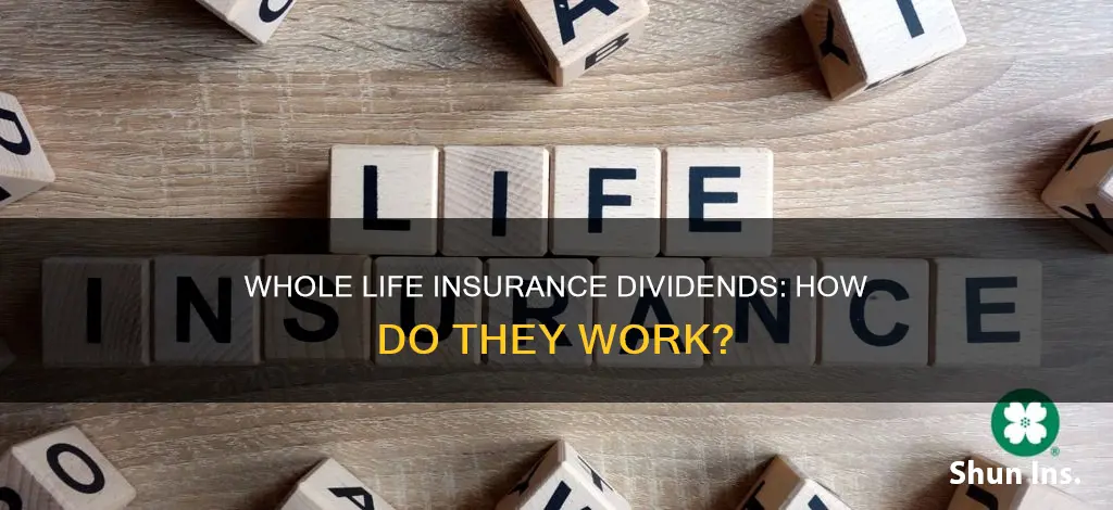 what is a whole life insurance dividend