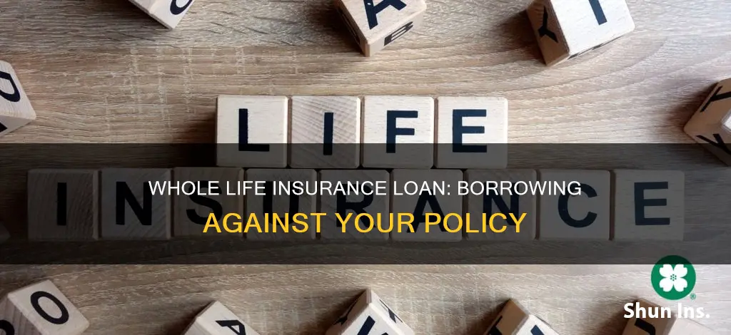 what is a whole life insurance loan