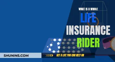 Whole Life Insurance Riders: Understanding the Benefits and Drawbacks