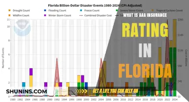 Florida's AAA Insurance Rating: What Does It Mean?