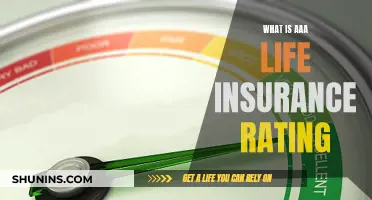 Life Insurance Simplified: Understanding AAA Ratings