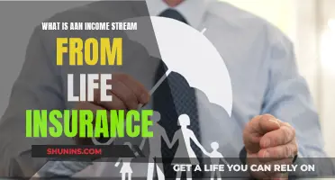 Life Insurance: An Extra Income Stream for You?