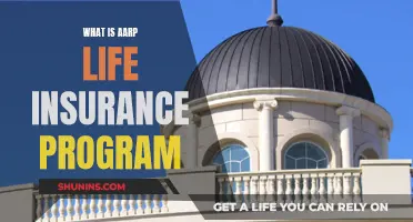 Life Insurance Simplified: AARP's Program Explained