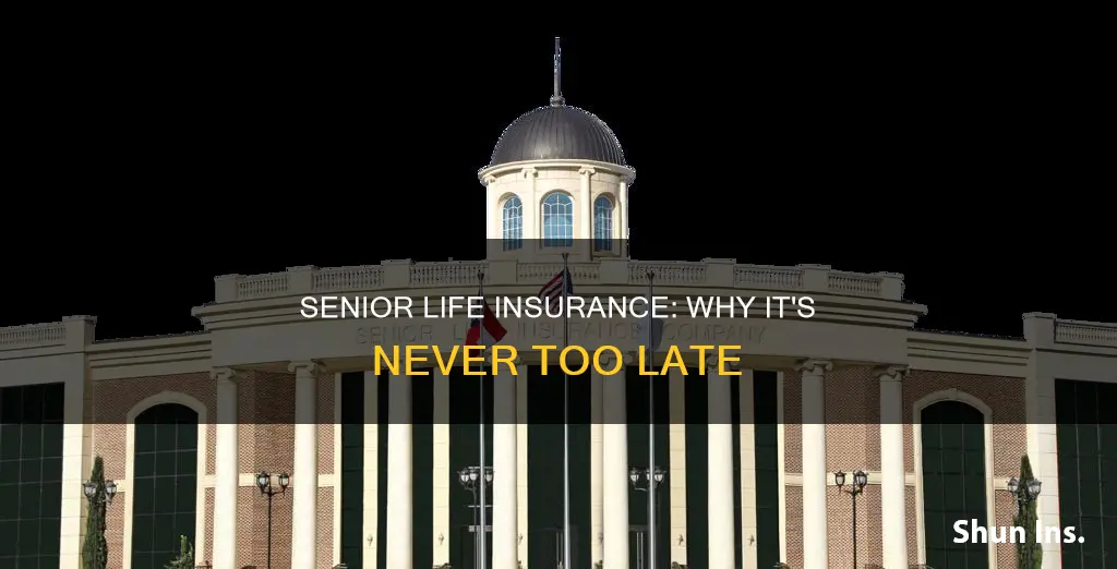 what is about senior and no life insurance