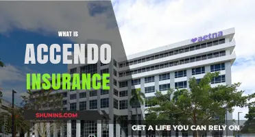 Understanding Accendo Insurance: Coverage, Benefits, and How It Works