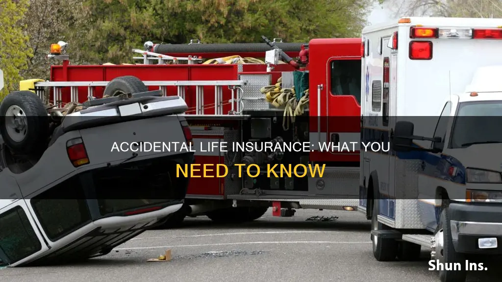 what is accident life insurance