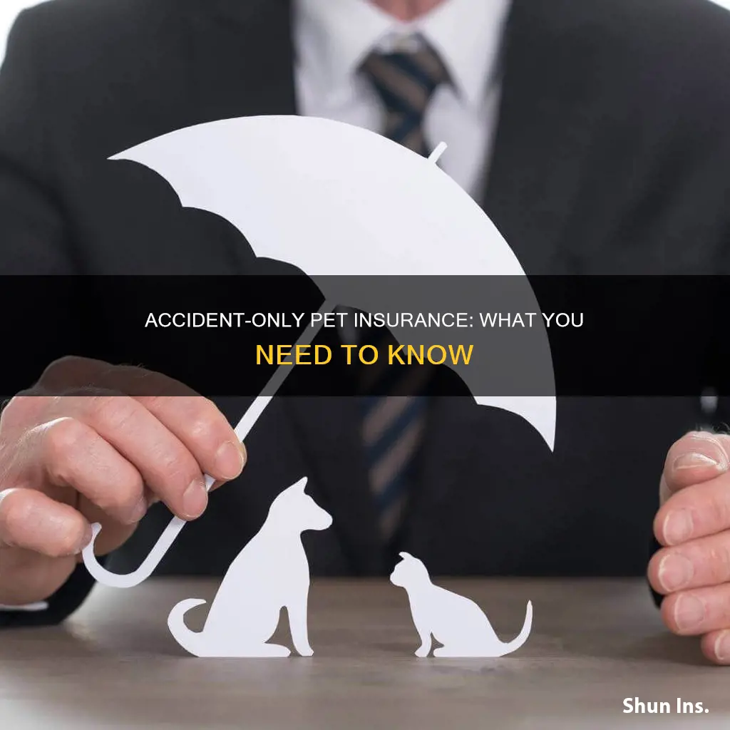 what is accident only pet insurance