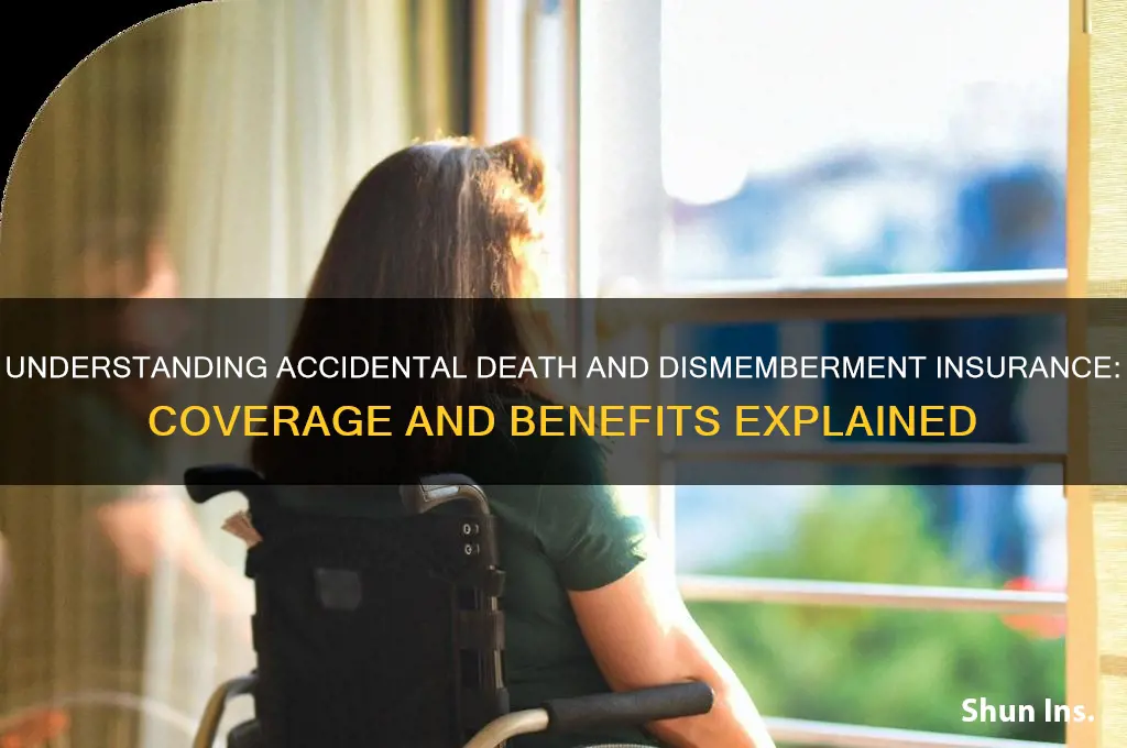 what is accidental and dismemberment insurance