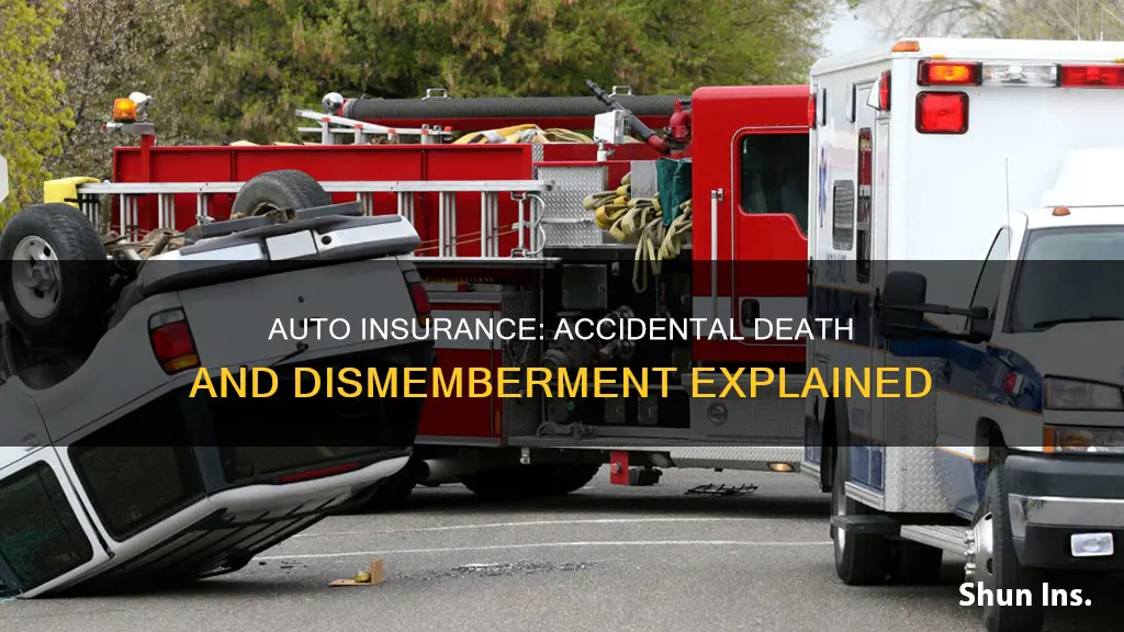 what is accidental death and dismemberment in auto insurance