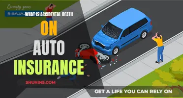 Accidental Death Auto Insurance: What You Need to Know