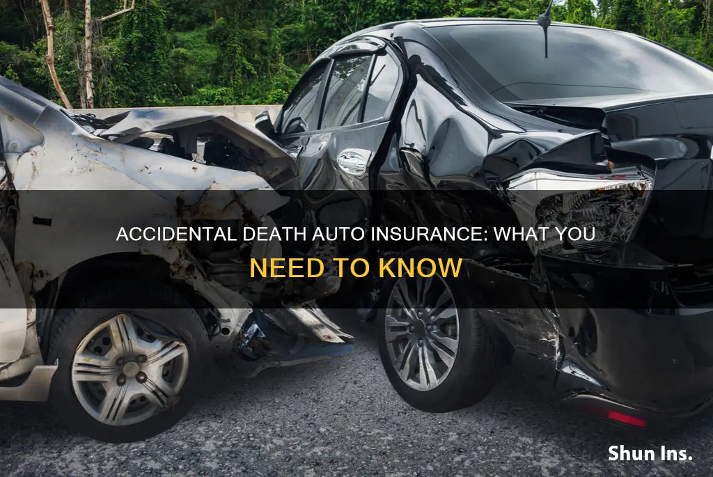 what is accidental death on auto insurance