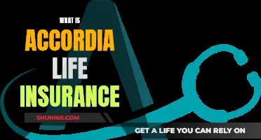 Accordia Life Insurance: What You Need to Know